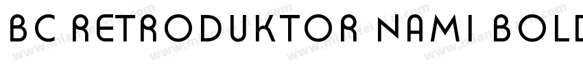 BC Retroduktor NAMI Bold Reversed字体转换